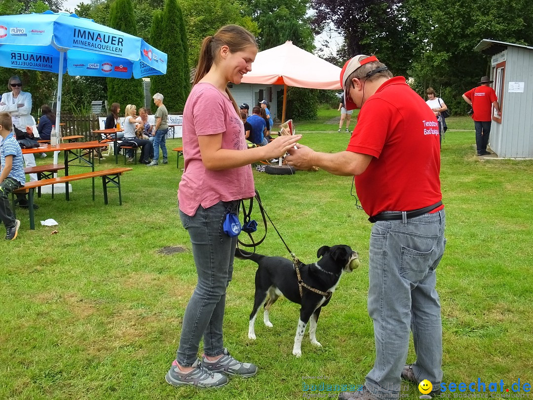 Struppirennen im Tierschutzverein: Bad-Saulgau, 04.09.2016