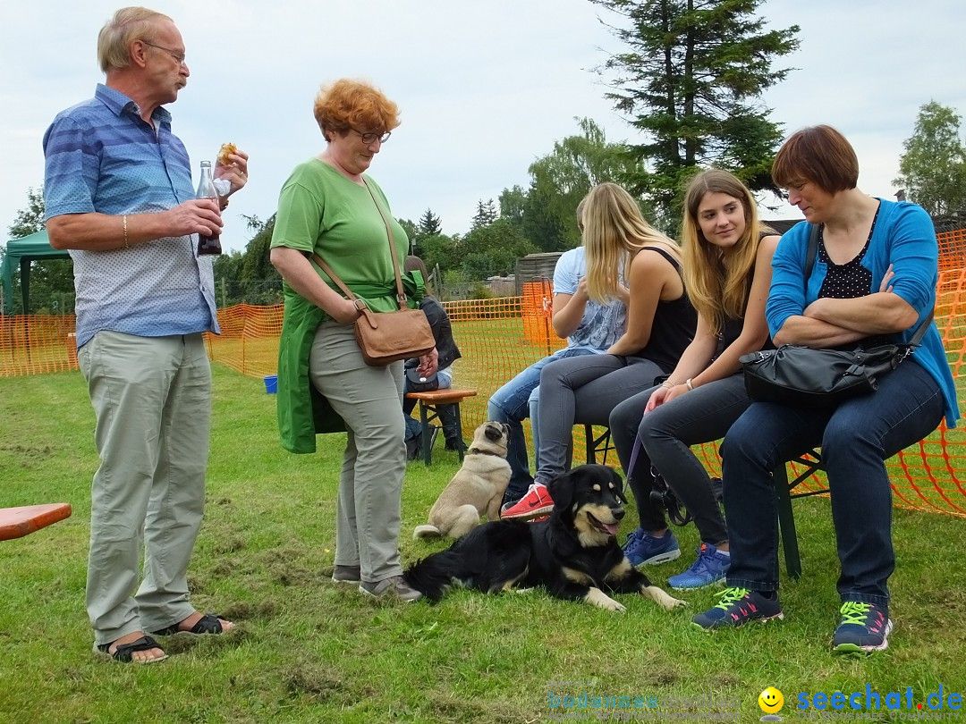 Struppirennen im Tierschutzverein: Bad-Saulgau, 04.09.2016