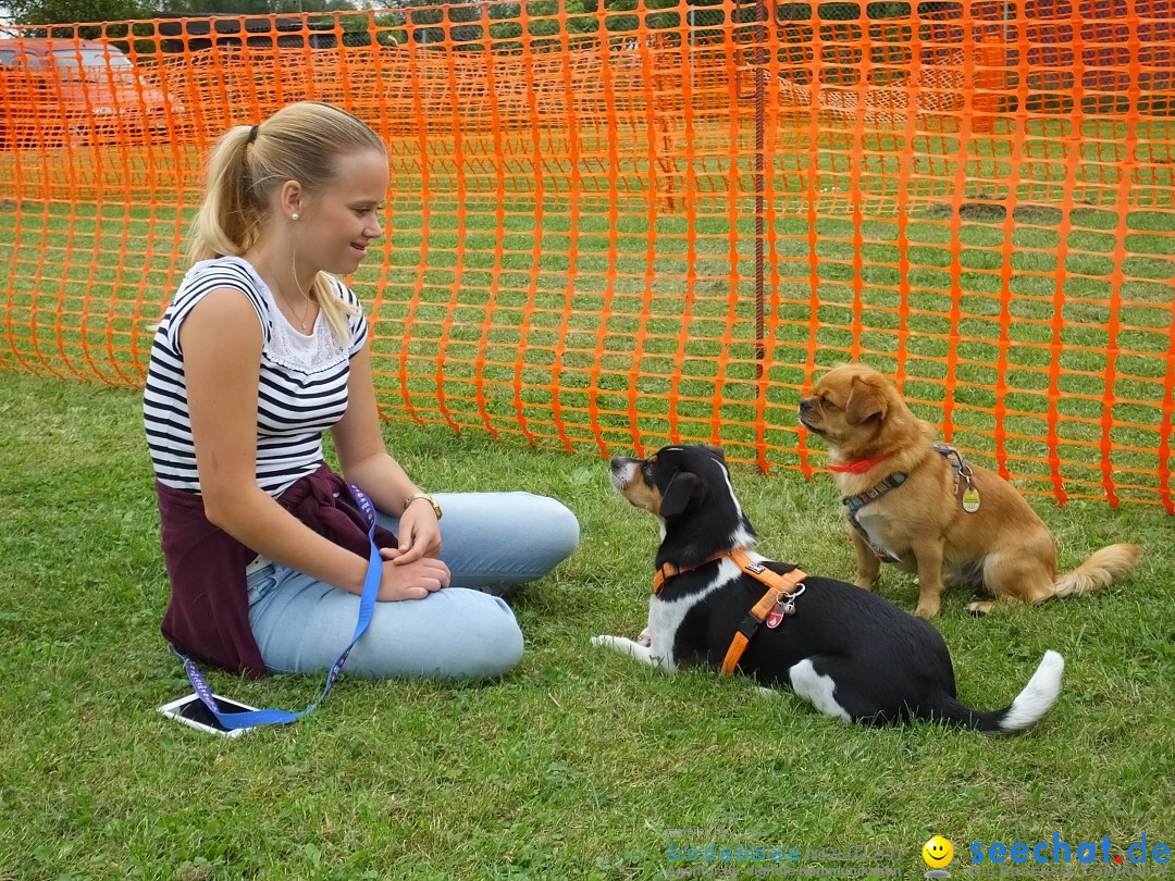 Struppirennen im Tierschutzverein: Bad-Saulgau, 04.09.2016