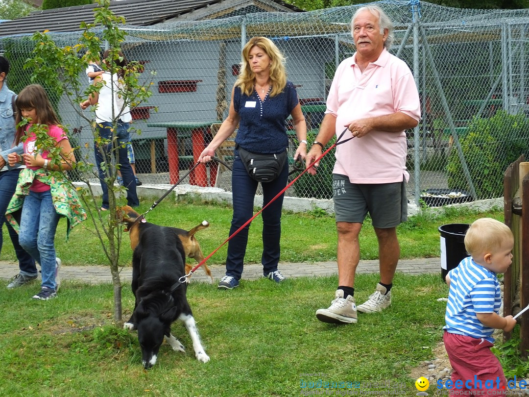 Struppirennen im Tierschutzverein: Bad-Saulgau, 04.09.2016