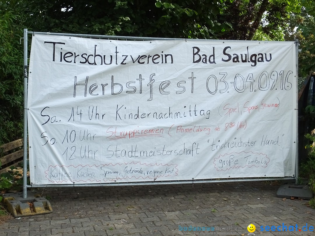 Struppirennen im Tierschutzverein: Bad-Saulgau, 04.09.2016