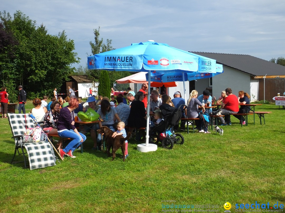 Struppirennen im Tierschutzverein: Bad-Saulgau, 04.09.2016