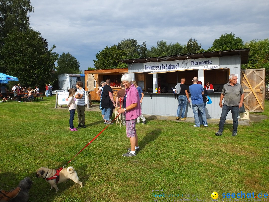 Struppirennen im Tierschutzverein: Bad-Saulgau, 04.09.2016