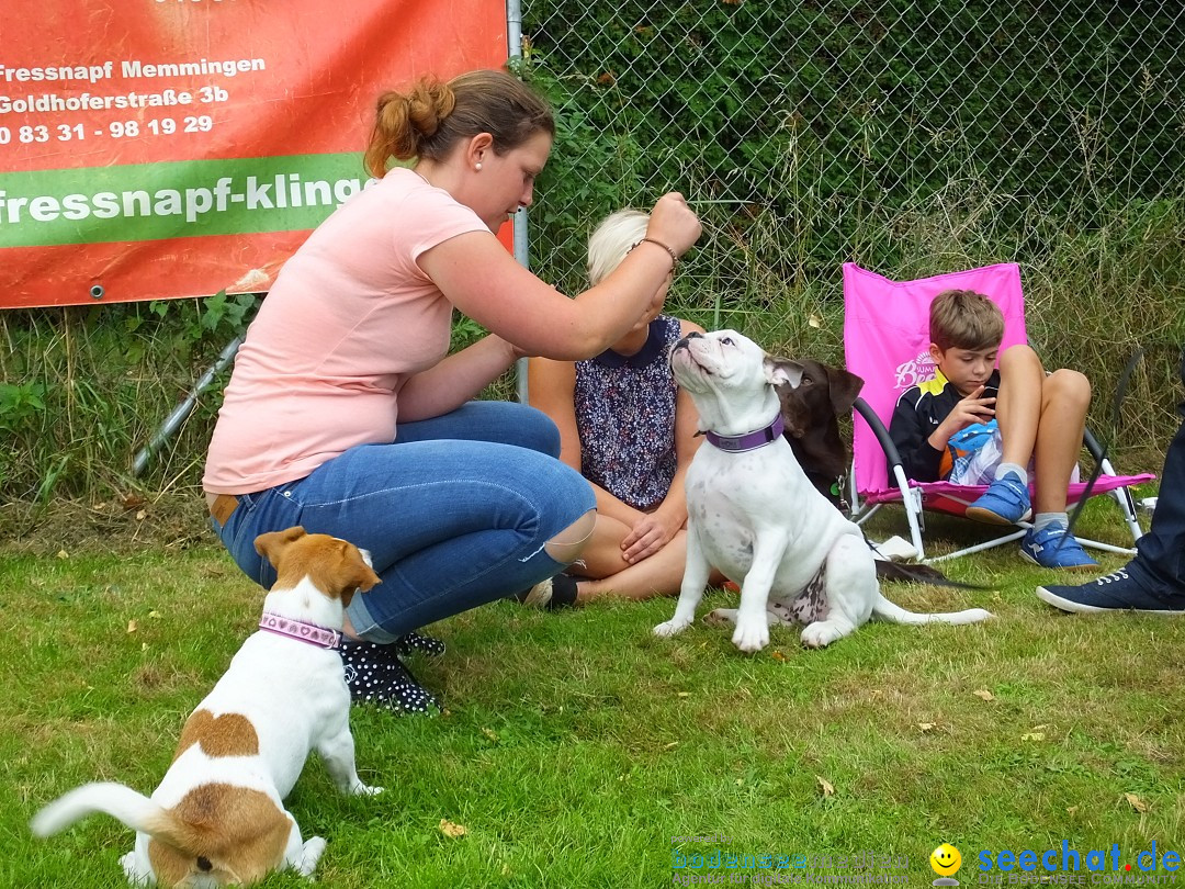 Struppirennen im Tierschutzverein: Bad-Saulgau, 04.09.2016