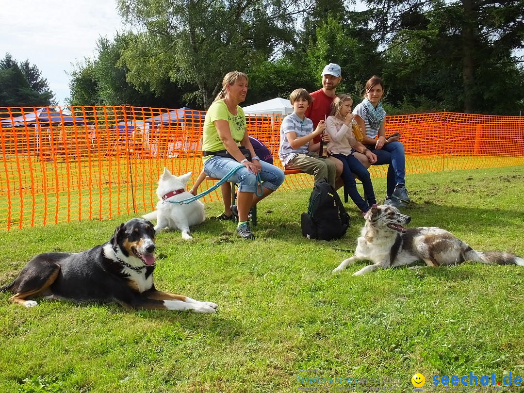 Struppirennen im Tierschutzverein: Bad-Saulgau, 04.09.2016