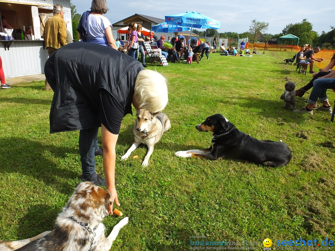 Struppirennen im Tierschutzverein: Bad-Saulgau, 04.09.2016