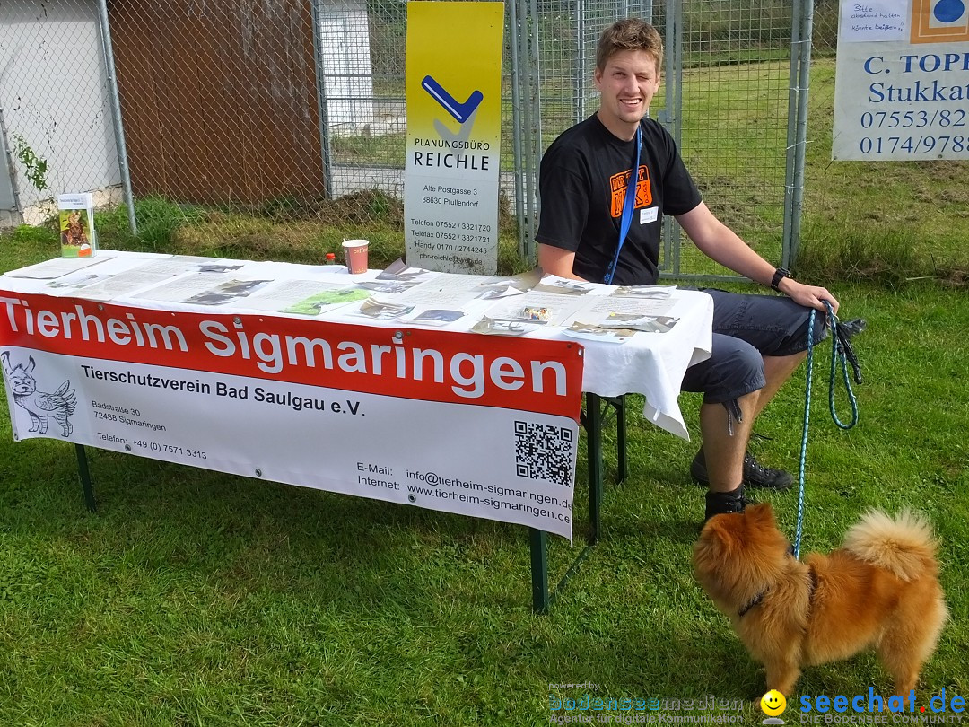 Struppirennen im Tierschutzverein: Bad-Saulgau, 04.09.2016