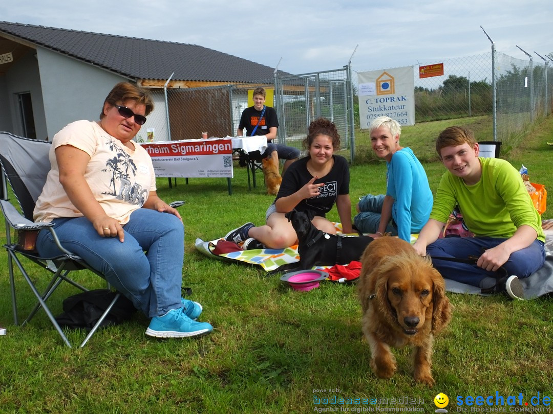 Struppirennen im Tierschutzverein: Bad-Saulgau, 04.09.2016