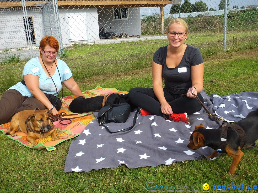 Struppirennen im Tierschutzverein: Bad-Saulgau, 04.09.2016