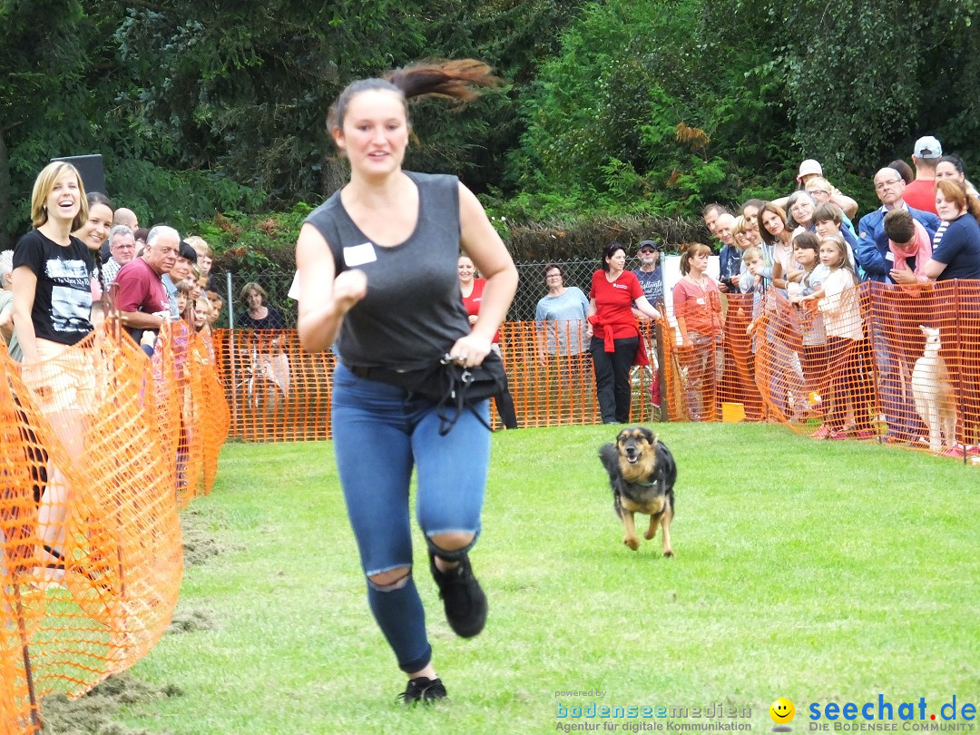 Struppirennen im Tierschutzverein: Bad-Saulgau, 04.09.2016