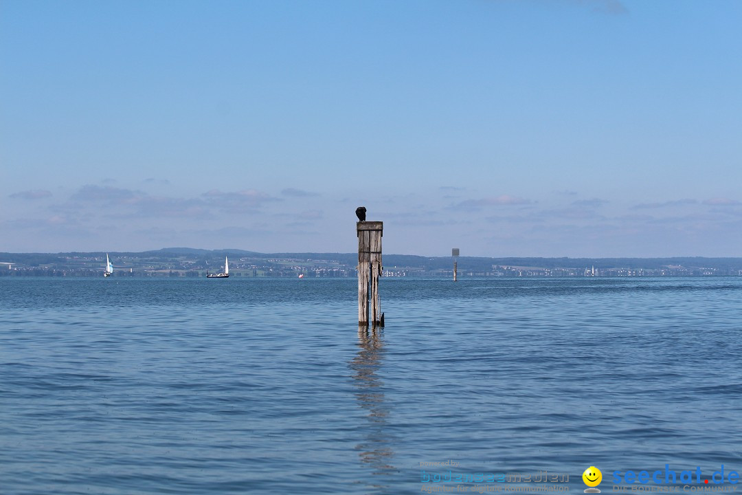 BODENSEEBOOT Breitenquerung, Mirjam Leichsnering: Friedrichshafen, 07.09.20