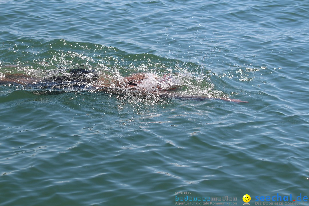 BODENSEEBOOT Breitenquerung, Mirjam Leichsnering: Friedrichshafen, 07.09.20