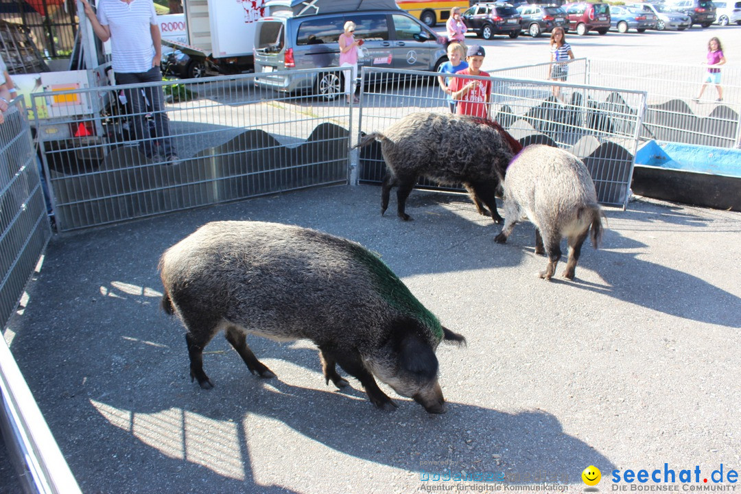 Schlagertage 10.09.2016: Sedrun - Schweiz (CH)