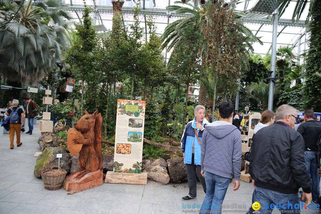 Graefliches-Inselfest-Insel-Mainau-2016-10-02-Bodensee-Community-SEECHAT_DE-IMG_0319.JPG