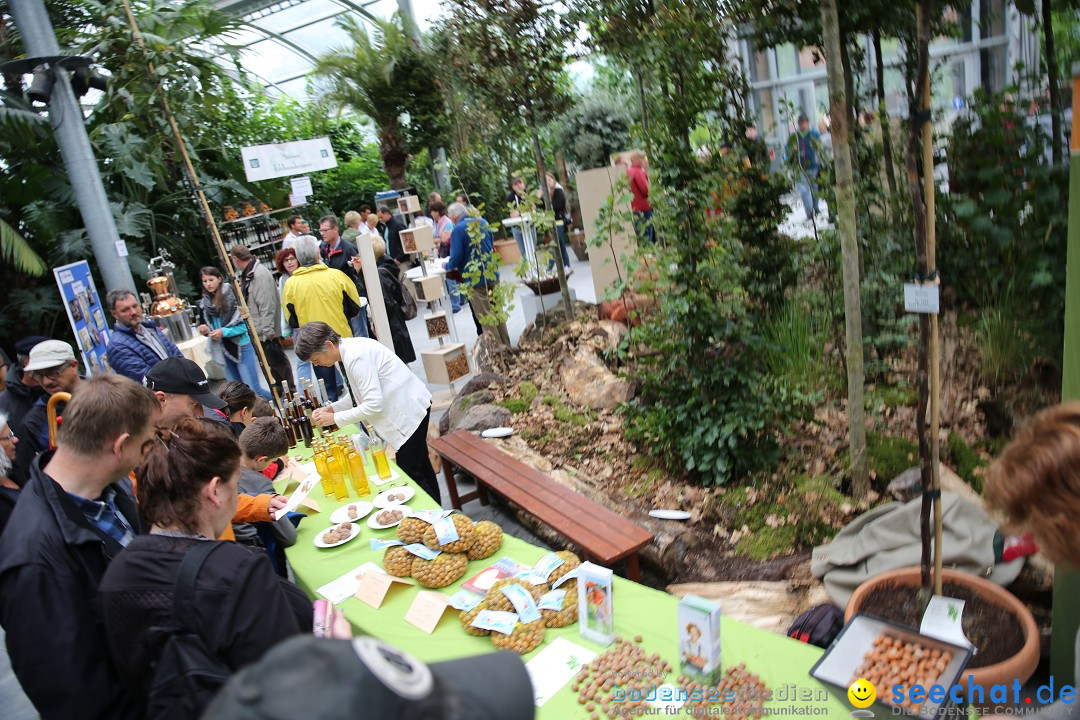 Graefliches-Inselfest-Insel-Mainau-2016-10-02-Bodensee-Community-SEECHAT_DE-IMG_0323.JPG