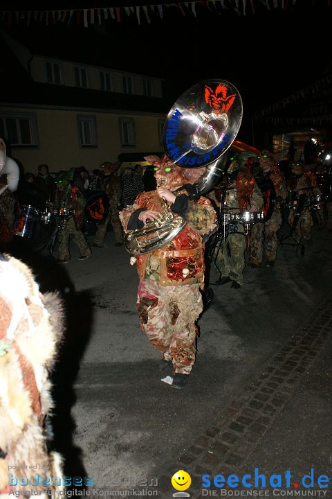 Narrentreffen und Narrenumzug 2010: Eigeltingen, 22.01.2010