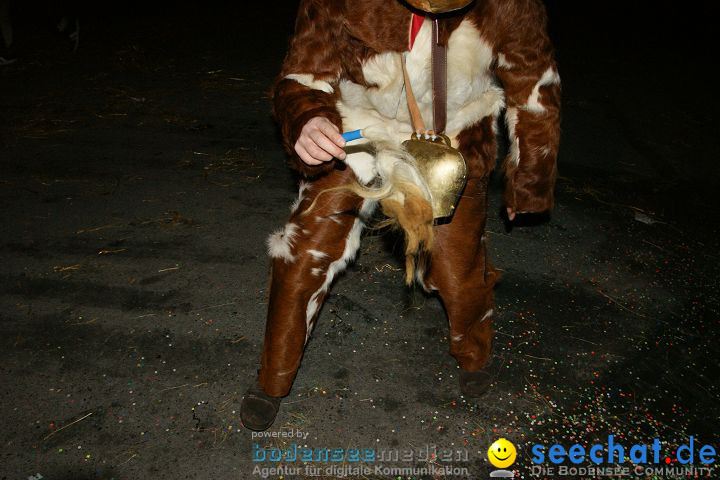 Narrentreffen und Narrenumzug 2010: Eigeltingen, 22.01.2010