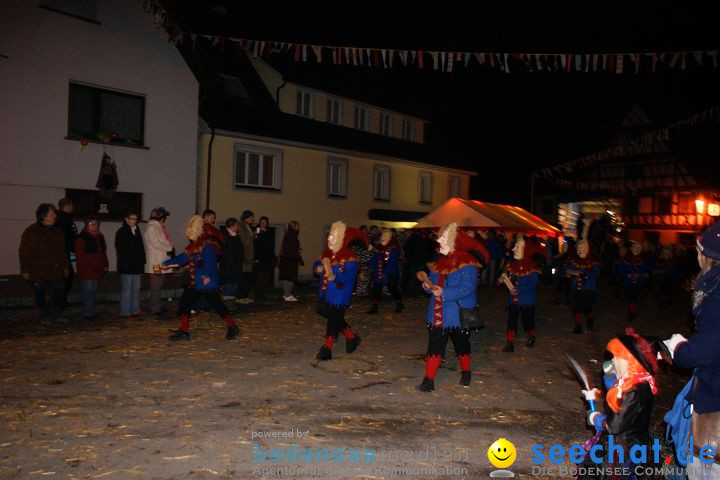 Narrentreffen und Narrenumzug 2010: Eigeltingen, 22.01.2010