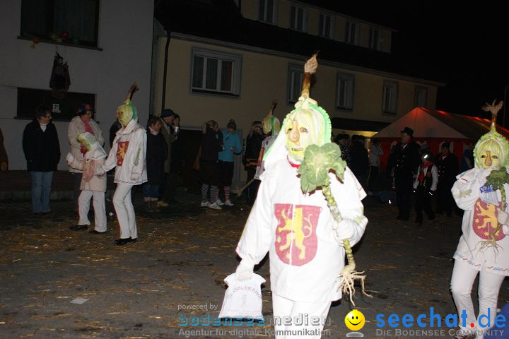 Narrentreffen und Narrenumzug 2010: Eigeltingen, 22.01.2010