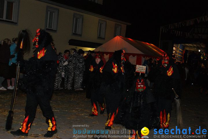 Narrentreffen und Narrenumzug 2010: Eigeltingen, 22.01.2010