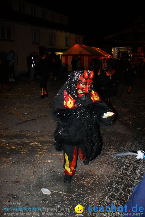 Narrentreffen und Narrenumzug 2010: Eigeltingen, 22.01.2010