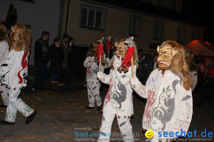 Narrentreffen und Narrenumzug 2010: Eigeltingen, 22.01.2010