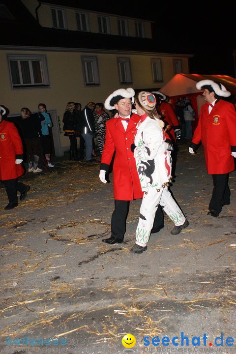 Narrentreffen und Narrenumzug 2010: Eigeltingen, 22.01.2010