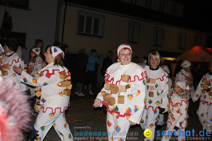 Narrentreffen und Narrenumzug 2010: Eigeltingen, 22.01.2010