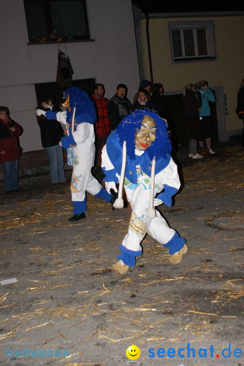 Narrentreffen und Narrenumzug 2010: Eigeltingen, 22.01.2010