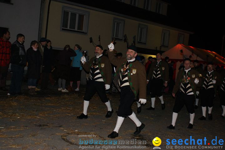 Narrentreffen und Narrenumzug 2010: Eigeltingen, 22.01.2010