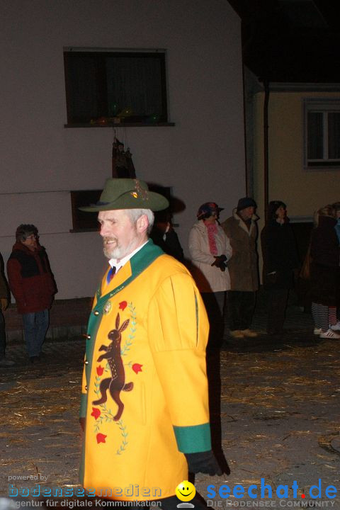 Narrentreffen und Narrenumzug 2010: Eigeltingen, 22.01.2010