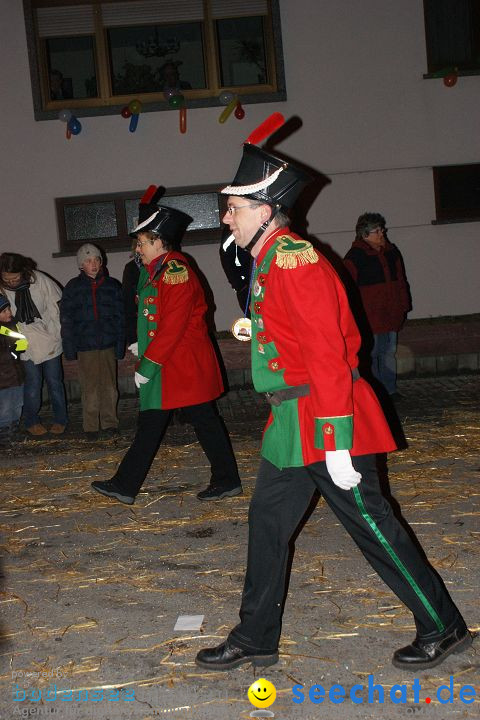 Narrentreffen und Narrenumzug 2010: Eigeltingen, 22.01.2010