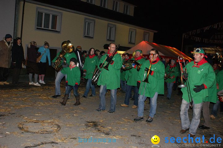 Narrentreffen und Narrenumzug 2010: Eigeltingen, 22.01.2010