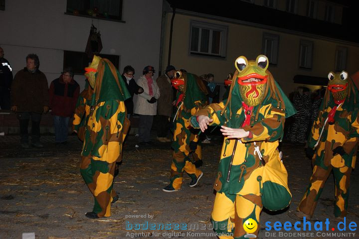 Narrentreffen und Narrenumzug 2010: Eigeltingen, 22.01.2010