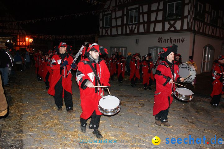 Narrentreffen und Narrenumzug 2010: Eigeltingen, 22.01.2010