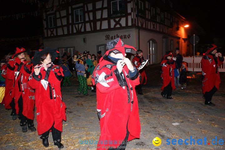 Narrentreffen und Narrenumzug 2010: Eigeltingen, 22.01.2010