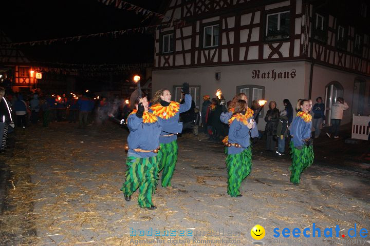 Narrentreffen und Narrenumzug 2010: Eigeltingen, 22.01.2010