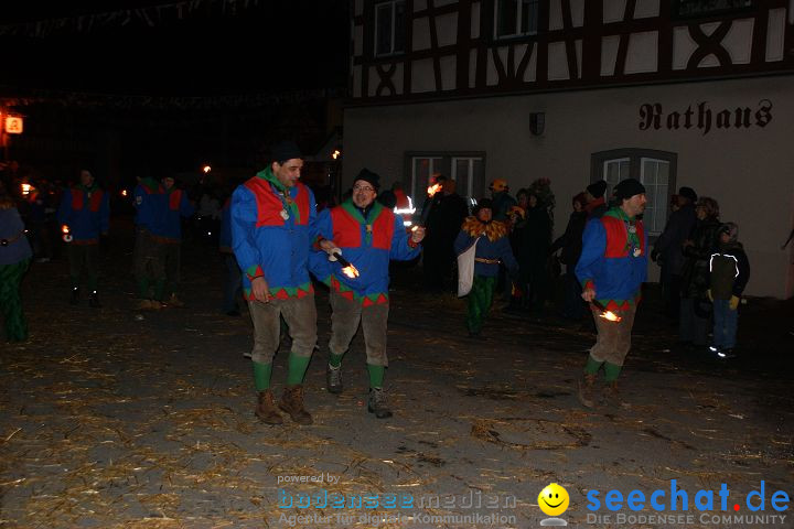 Narrentreffen und Narrenumzug 2010: Eigeltingen, 22.01.2010