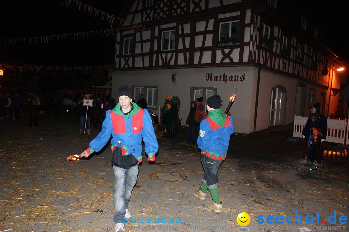 Narrentreffen und Narrenumzug 2010: Eigeltingen, 22.01.2010