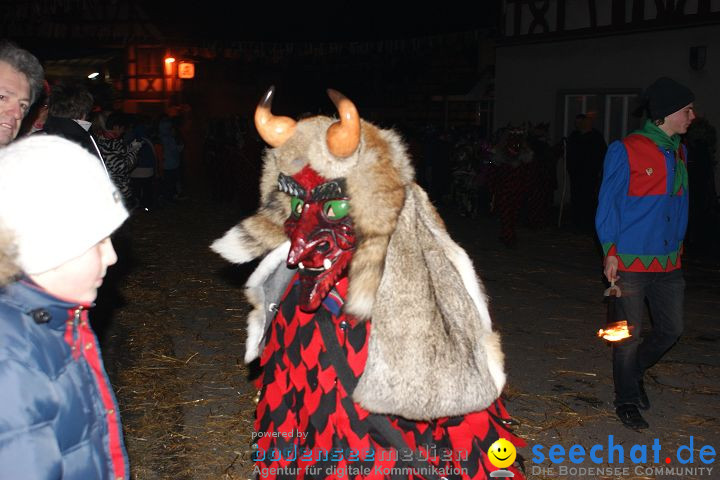 Narrentreffen und Narrenumzug 2010: Eigeltingen, 22.01.2010