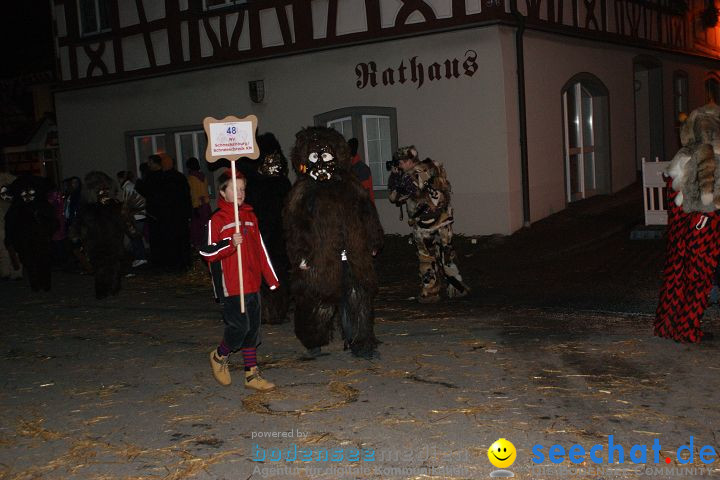 Narrentreffen und Narrenumzug 2010: Eigeltingen, 22.01.2010