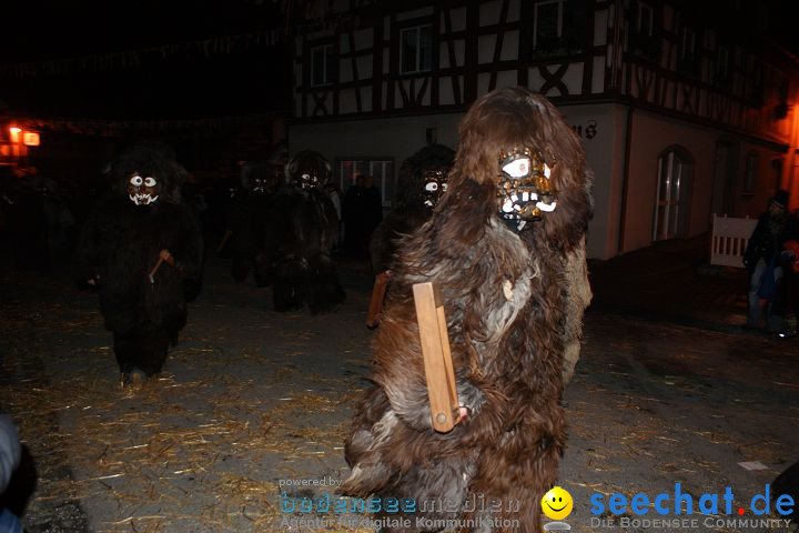 Narrentreffen und Narrenumzug 2010: Eigeltingen, 22.01.2010