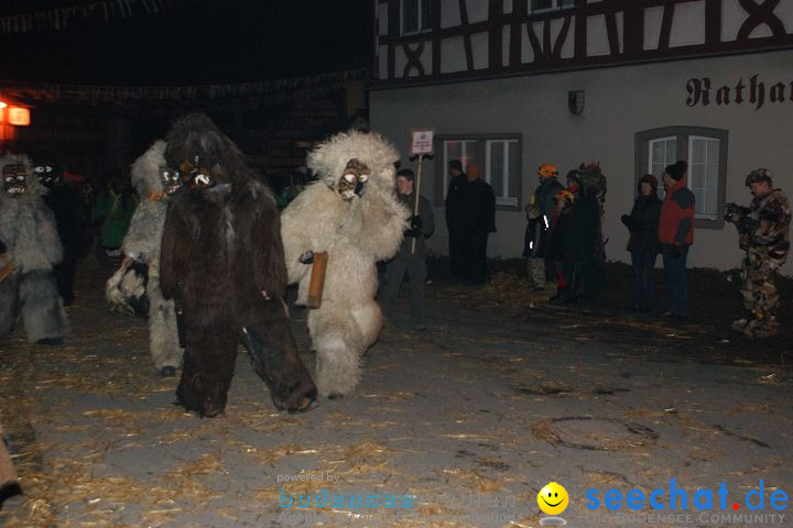 Narrentreffen und Narrenumzug 2010: Eigeltingen, 22.01.2010