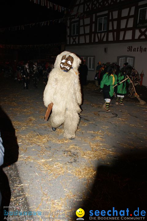 Narrentreffen und Narrenumzug 2010: Eigeltingen, 22.01.2010