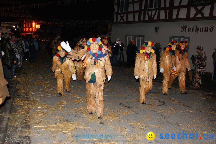 Narrentreffen und Narrenumzug 2010: Eigeltingen, 22.01.2010