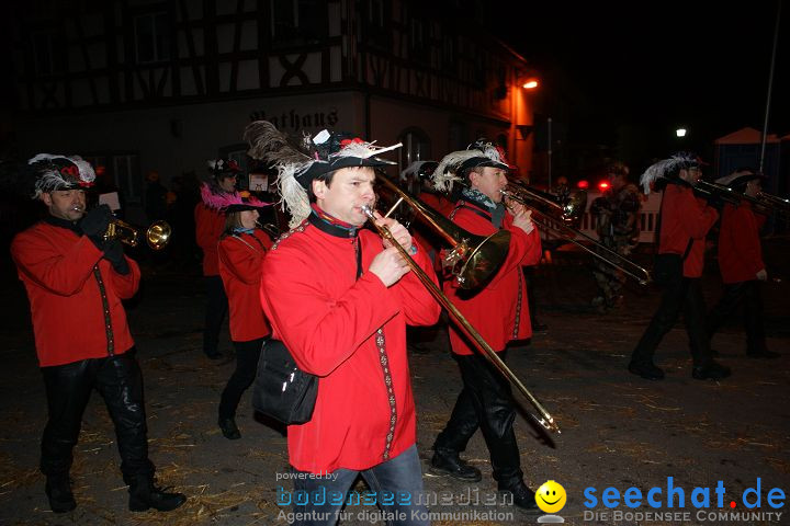 Narrentreffen und Narrenumzug 2010: Eigeltingen, 22.01.2010