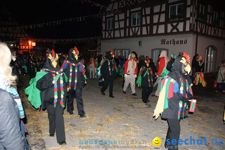 Narrentreffen und Narrenumzug 2010: Eigeltingen, 22.01.2010