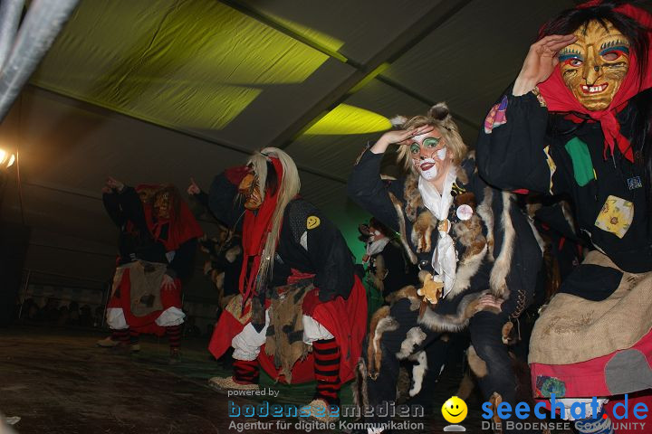 Narrentreffen und Narrenumzug 2010: Eigeltingen, 22.01.2010