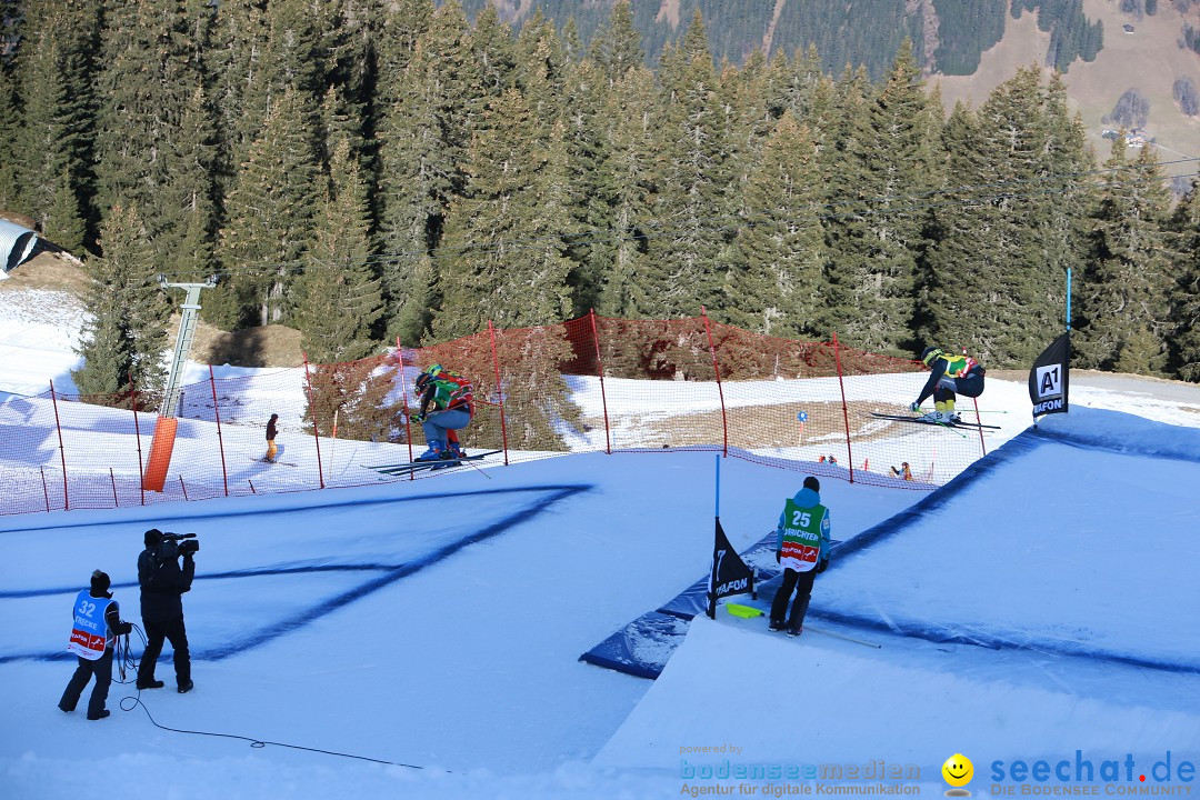 Finale Audi FIS Ski Cross Weltcup, Cross Alps Tour: Montafon, 17.12.2016