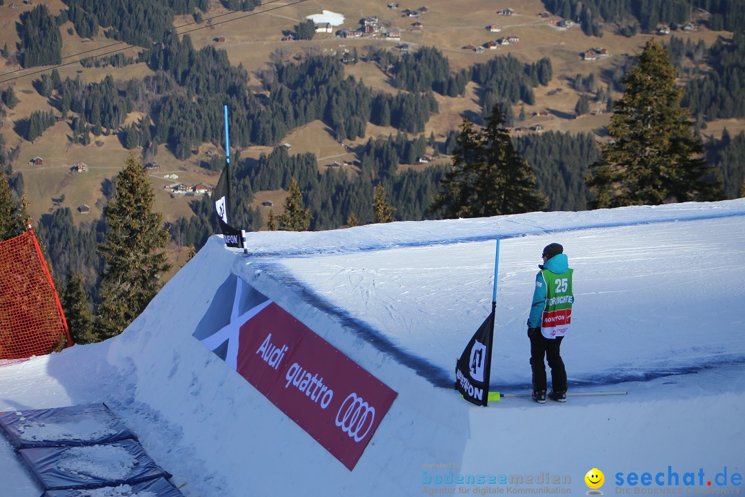 Finale Audi FIS Ski Cross Weltcup, Cross Alps Tour: Montafon, 17.12.2016